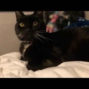 Meet your Posher, Greg